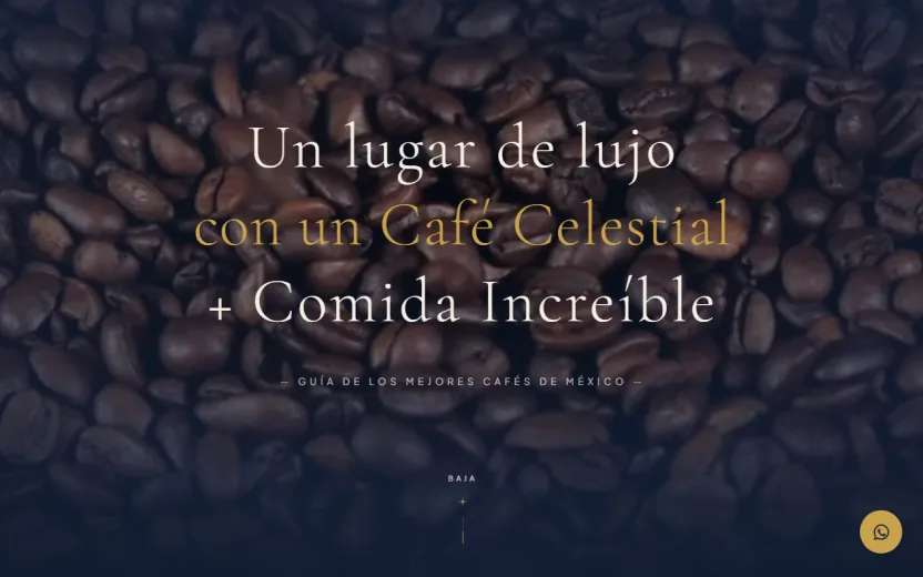 Página web de Amaya Café + Cocina, café de autor en la Ciudad de México